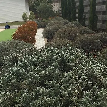 Avec Piscine De * Sanguinet