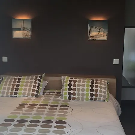 Avec Piscine De Sanguinet