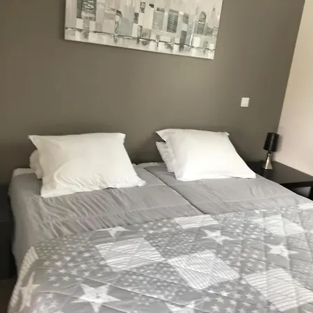 Avec Piscine De * Sanguinet