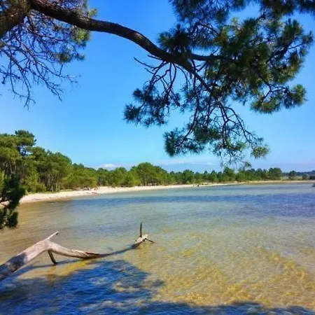 Villa Avec Piscine De Sanguinet